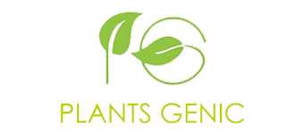 best digital marketing agency in Pune